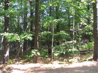 201 Pine Hill Rd, York, ME, 03909 United States